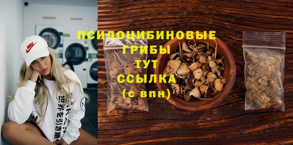 мескалин Богородицк