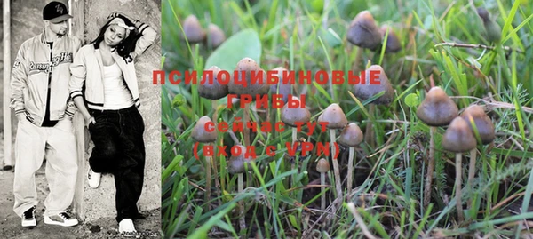 эйфоретик Протвино