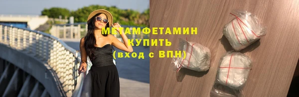 молекула духа Богданович