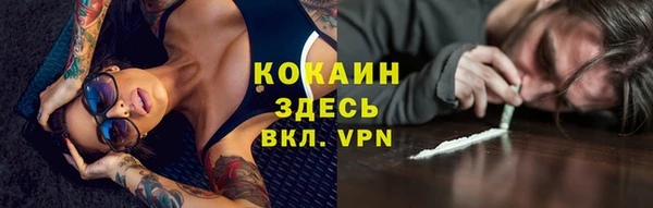 молекула духа Богданович