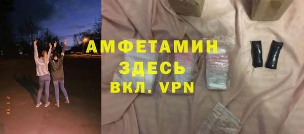 молекула духа Богданович