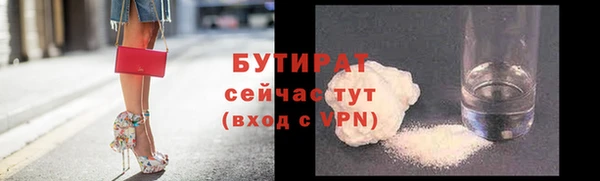 молекула духа Богданович