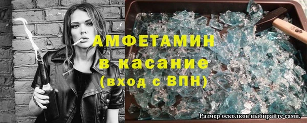 молекула духа Богданович