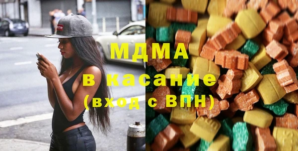 молекула духа Богданович
