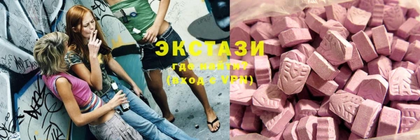 молекула духа Богданович