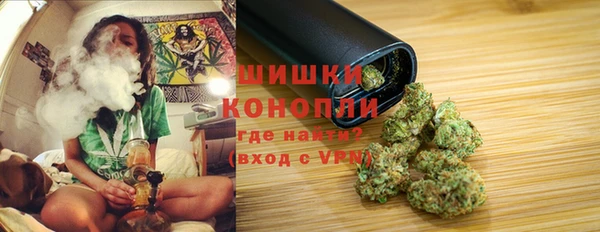 молекула духа Богданович