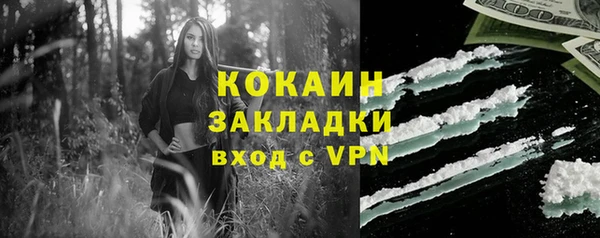 молекула духа Богданович