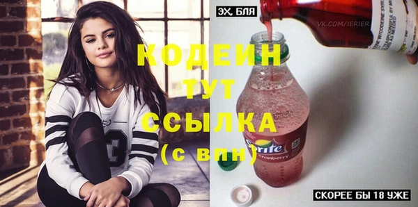 молекула духа Богданович
