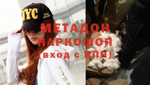 молекула духа Богданович