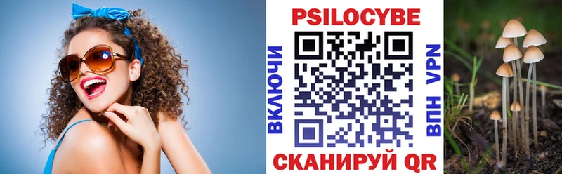 Псилоцибиновые грибы Cubensis  дарнет шоп  маркетплейс какой сайт  Краснокамск 